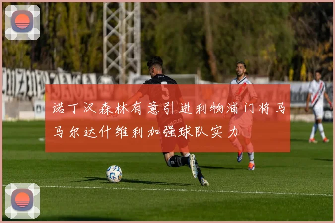 诺丁汉森林有意引进利物浦门将马马尔达什维利加强球队实力